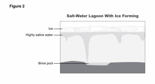 SEP Construct an Explanation In Figure 2, a “brine pool” of denser salt water

forms on the lakebe