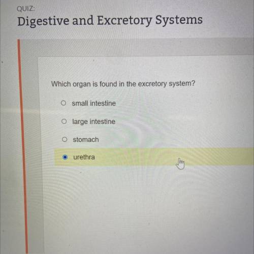 Which organ is found in the excretory system?