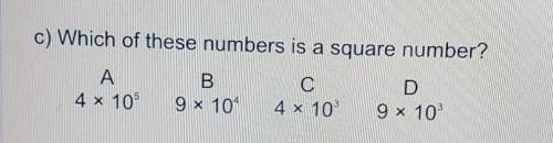 Help! what is the answer?