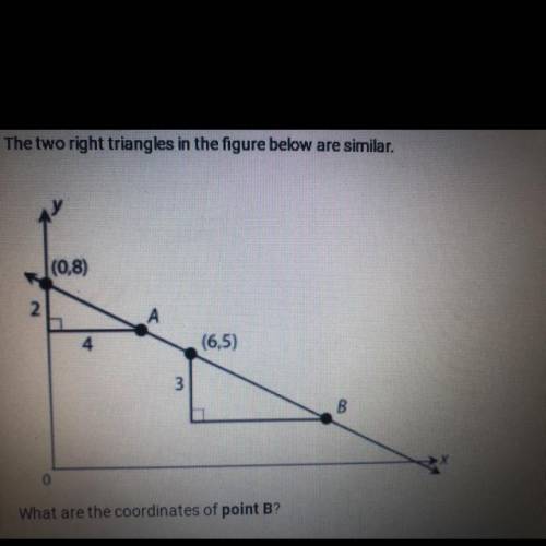 The two right triangles in the figure below are similar.

 
What are the coordinates of point B?