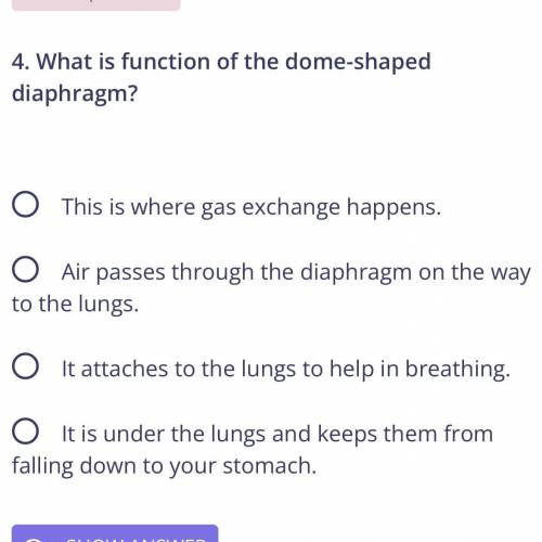 4. The function of the dome-shaped diaphragm|