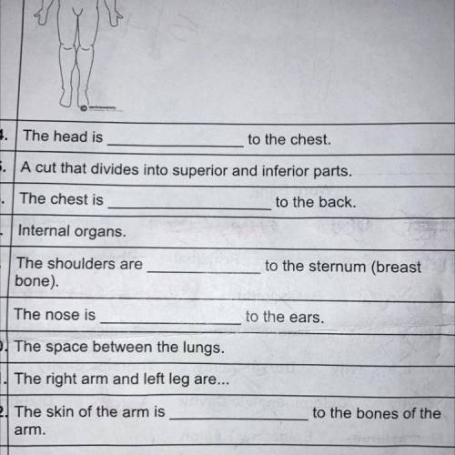 Fill in the blanks 
This is directions and planes and Anatomical Termminology