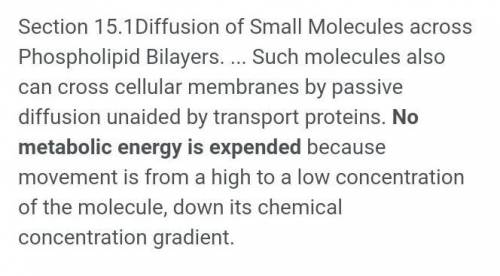 is required for energy given to proteins in the phospholipid layer.
