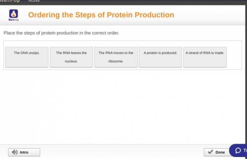 Place the steps of protein production in the correct order. Hurry, please! <3