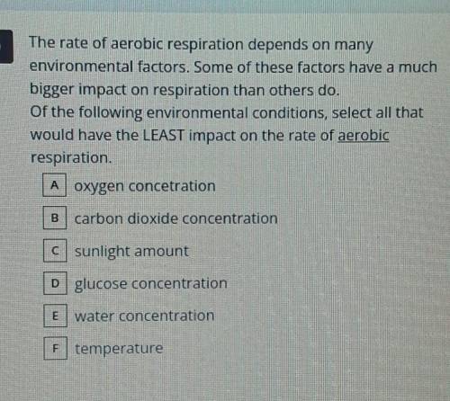 The rate of aerobic respiration depends on many environmental factors. Some of these factors have a