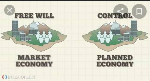 Describe a market economy and how it works.