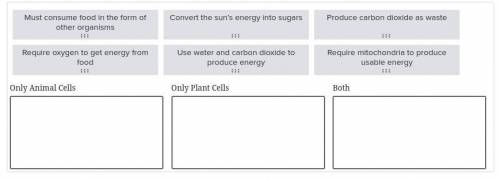 FOR ALOT OF POINTSSSSSS

Read the statements regarding how cells obtain and use energy. Does each