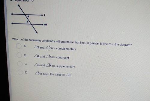 I need help with this question no Link's please
