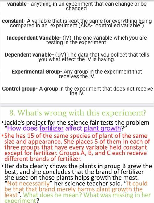 Using the vocabulary on slide 2, tell what was missing in the experiment that Jackie (slide 3) did:
