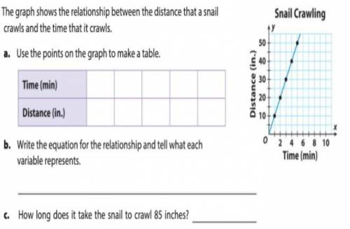 The graph shows the relationship between the distance that a snail crawls and the time that it craw