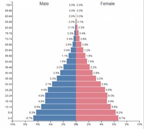 Human Population Writing Assignment

Use the below population pyramid of the population of Namibia