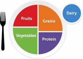 Which are the five food groups shown in the MyPlate diagram?

 
A) grains, fruits and vegetables, da