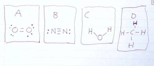 Draw the Lewis structures of N2, O2, H20, and CH4. Compare your drawing to the ones in the drawing