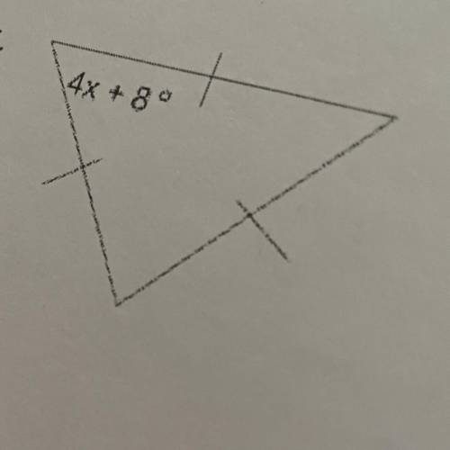 Find the value for x in the triangle!
