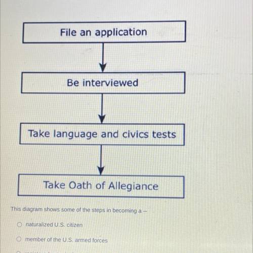 Plssss hurryyyy

This diagram shows some of the steps in becoming a -
naturalized U.S. citizen
mem