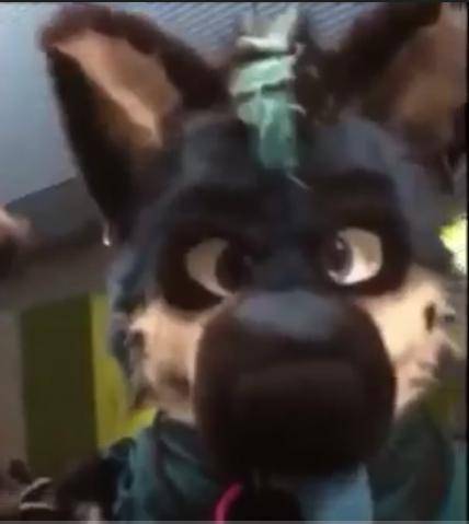 Who is this fursuiter please help? Can you image reverse search this or something because I cannot