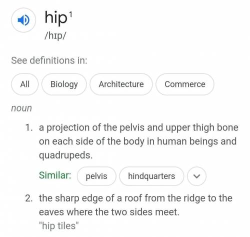 What is the full meaning of hip
