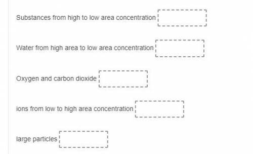 Match each of the following processes to the substances being moved