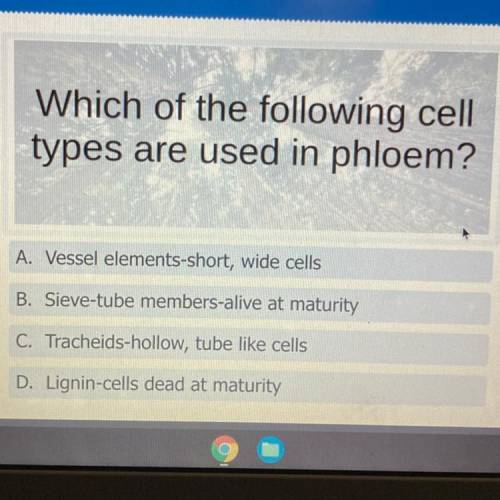 Which of the following cell

types are used in phloem?
A. Vessel elements-short, wide cells
B. Sie