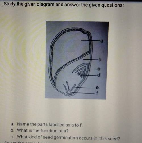 Please solve this question