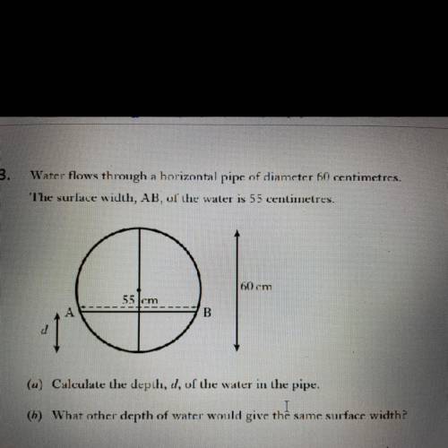 Please help this is sooo hard i literally have no clue how to do this