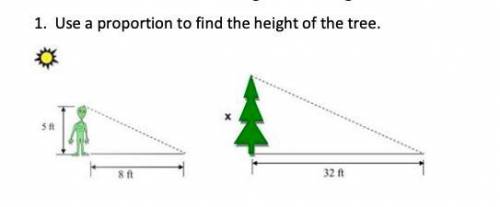 Indirect Measurement using Similar Figures