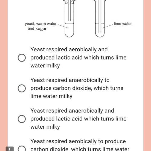 Yeast, warm water, and sugar were put into a test-tube. The apparatus was then set up as shown. Aft