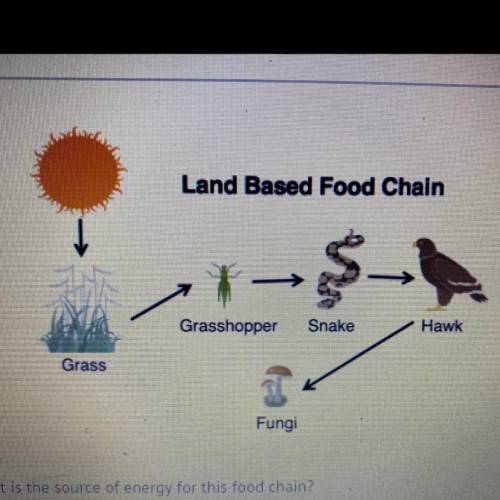We eat food for energy. What is the source of energy for this food chain?

A) the sun
B) the grass