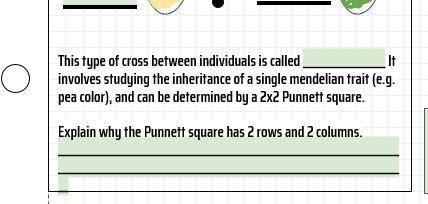 I can probably find something about the explain stuff but if you could help me with the punett squa
