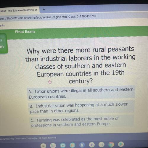 Why were there more rural peasants

than industrial laborers in the working
classes of southern an