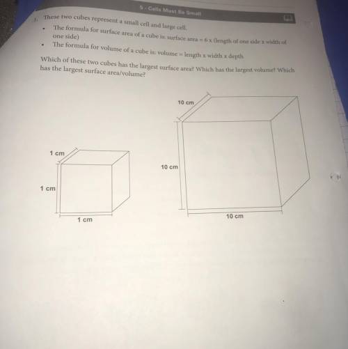 Please help me I have no clue how to do this:((