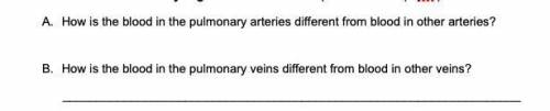 Please asnwer A and B

A. How is the blood in the pulmonary arteries different from blood in other