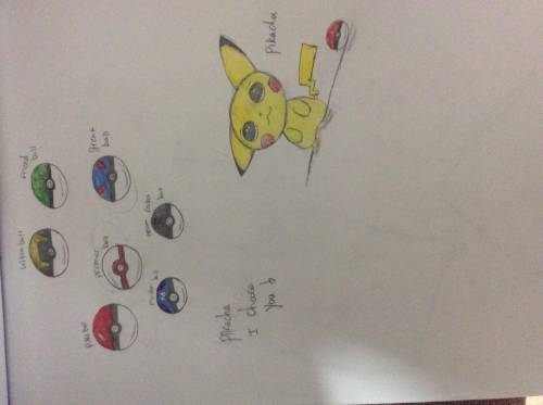 What do you think of my pickachu drawing?