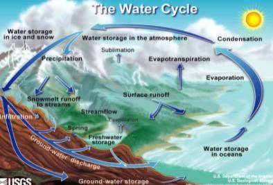 What would Earth’s water cycle look like in a conceptual model? Where is water found on Earth? Thin