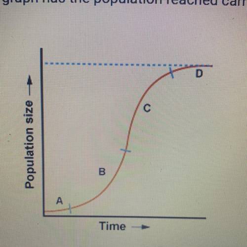 At which point in the graph has the population reached carrying capacity?

С
Population size
B
Tim