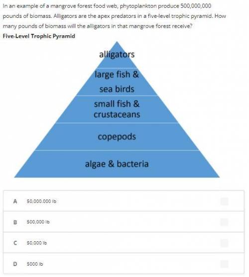 100POINTS & BRAINLIEST IF YOU ANSWER CORRECTLY!!