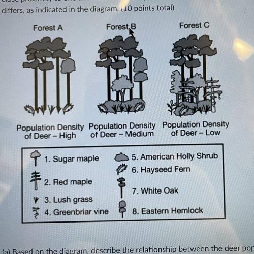 (a) Based on the diagram, describe the relationship between the deer population and biodiversity in