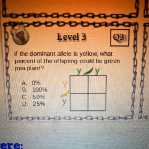 If the dominant allele is yellow, what percent of the offspring could be green pea plant?