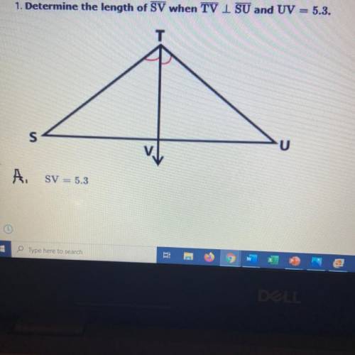 Determine the length of SV when TV | SU and UV=5.3

_
A) SV=5.3
B) SV=2.65
C) SV=10.6
D) SV=7.95