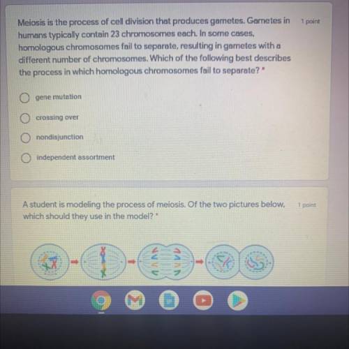 I need help with dis one plz someone help me the one dat says meiosis is the process