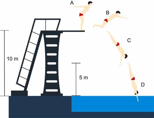 A young diver is practicing his skills before an important team competition. Use the diagram below
