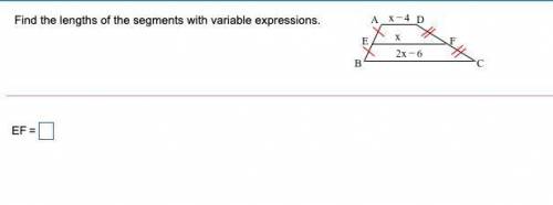 Could someone please help me with this question and explain it? Thanks.