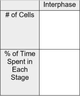 25 Points!! :D
Complete the interphase part of the data from your data table.