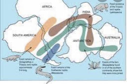 How does glacial deposit evidence prove continental drift