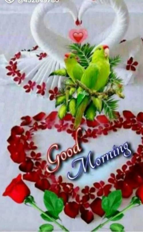 GOOD MORING to all of them