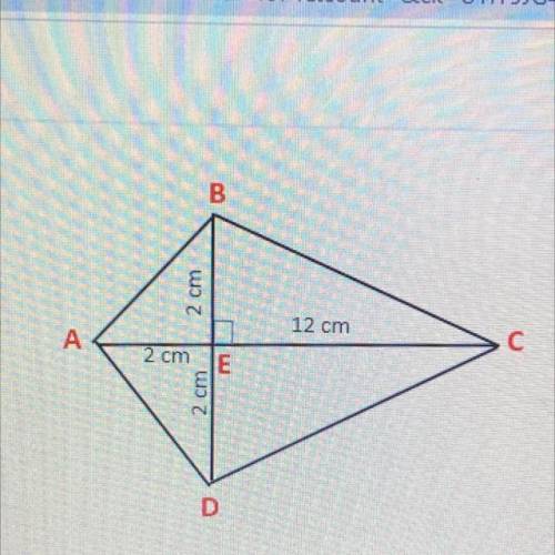 Which statement best explains how to find the area of the kite?

A)
Multiply the length of CA, whi