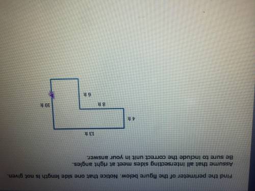 Find the perimeter of the figure below. Notice that one side length is not even.