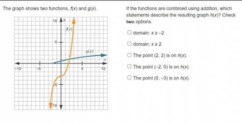 The graph shows two functions, f(x) and g(x).

If the functions are combined using addition, which