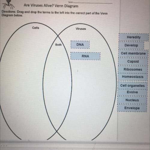 PLEASE HELP ME AND ONLY USE THE TERMS AT THE BOTTOM!!!

Are Viruses Alive? Venn Diagram
Directions