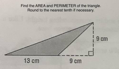 Find the AREA and PERIMETER of the triangle

 
‼️ASAP‼️
PLS HELP + EXPLAIN!! Thx!